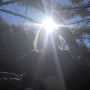 C.G. Jung and Germany´s&nbsp;shadow(s)