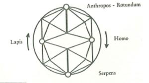 Quaternio series circular