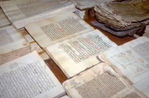 Timbuktu-Damage-Books