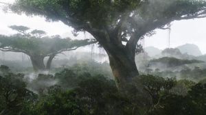 TreeOf Live - Source Avatar