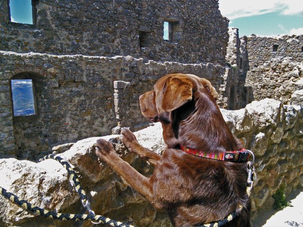   The Château de Montségur is probably the best known of all Cathar Castles. It is famous as the last Cathar stronghold, which fell after a 10 month siege in 1244. A field below the hilltop castle is reputed to be the site where over 200 Cathars were burned alive, having refused to renounce their fait